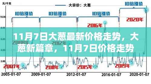 11月7日大葱价格走势揭秘,成长与自信之力的新篇章
