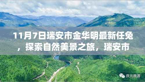 瑞安市金华明的新启程,兔子冒险与自然美景探索之旅