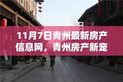 探寻青州房产新宠,11月7日最新房产信息与小巷深处的独特风情