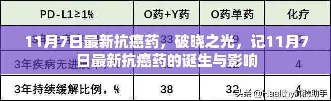 花开无言 第7页