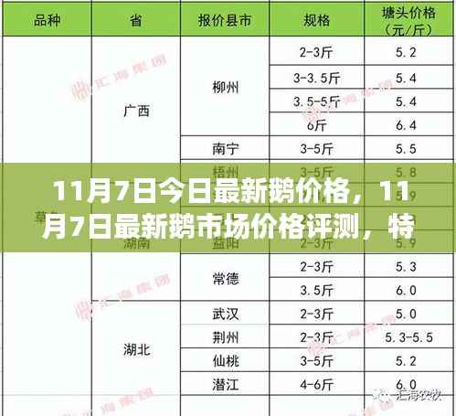 最新鹅价评测报告,特性、使用体验与竞品对比