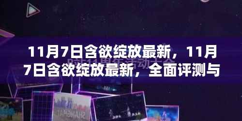 项目介绍 第675页