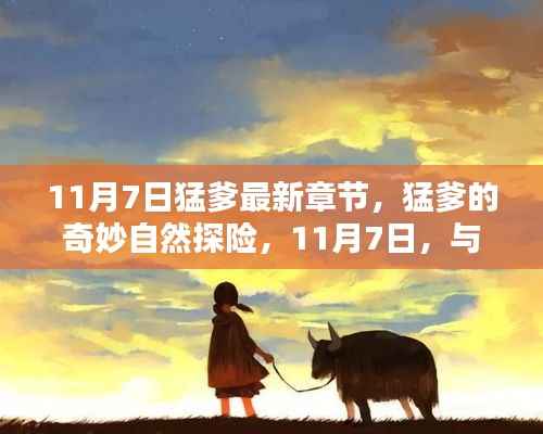 猛爹的奇妙自然探险,与宁静美景的不解之缘(最新章节 11月7日)