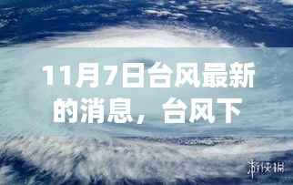 台风下的美食探秘,隐秘巷弄中的特色小店故事