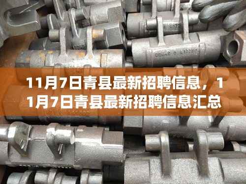 11月7日青县最新招聘信息全面汇总