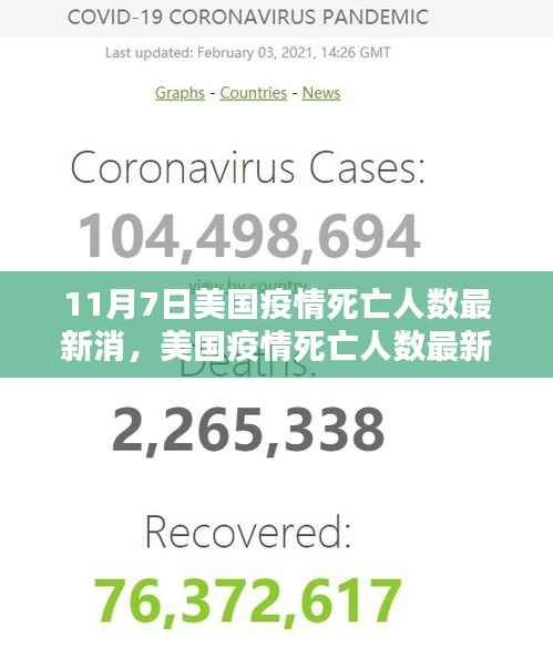 美国疫情死亡人数最新消息，聚焦11月7日的挑战与影响