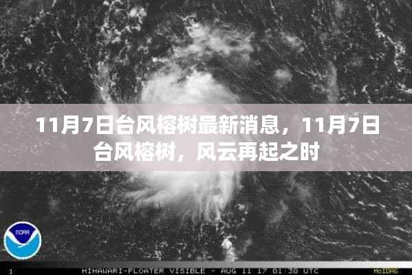 台风榕树最新动态,风云再起之时