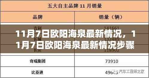 11月7日欧阳海泉最新情况详解,步骤指南与技能学习全攻略