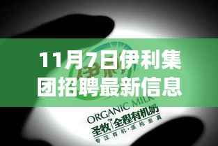伊利集团最新招聘启事,与自然共舞,启程心灵之旅,寻找内心的宁静与风景之美
