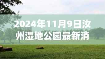 汝州湿地公园新篇章揭秘,自然探索与心灵宁静之旅的更新消息(2024年11月9日)