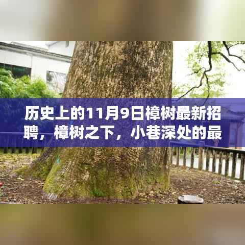 樟树下的招聘奇遇,历史上的11月9日最新招聘信息
