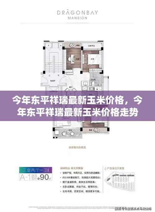 东平祥瑞最新玉米价格走势分析,今年趋势及其影响因素观察与观点解读