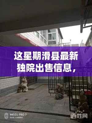 本周滑县精选独院出售信息解析,最新房源一览