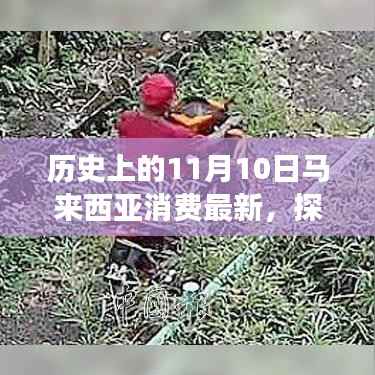 马来西亚消费新风尚揭秘,11月10日的独特消费之旅探秘小巷深处惊喜之旅