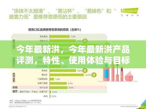 今年最新洪产品评测,特性、使用体验与目标用户深度剖析