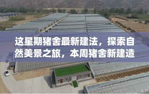 本周猪舍新建造法引领探索自然美景之旅,宁静之地的崭新篇章