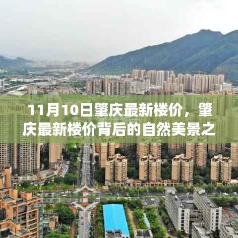 肇庆最新楼价背后的自然美景之旅,探寻心灵的宁静之地