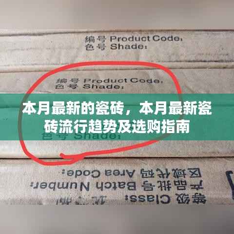 本月最新瓷砖流行趋势与选购指南,打造时尚家居的首选建材