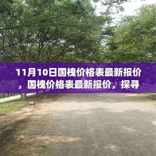 探寻国槐市场波动背后的故事与影响,最新报价及价格走势分析(11月10日)