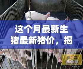 最新生猪智能预测系统引领行业革新,智慧养猪新时代开启,本月猪价科技揭秘