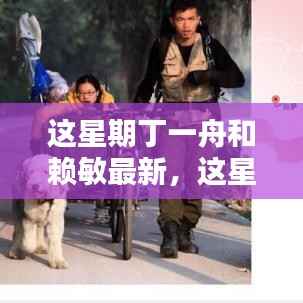 丁一舟与赖敏的任务指南,本周最新全面任务攻略与跟随步伐学习指南