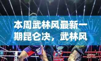 本周武林风最新一期深度解析,昆仑决全新篇章与武林风巅峰对决回顾