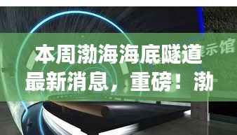 渤海海底隧道建设进展飞速,最新消息汇总揭秘隧道建设进展顺利!