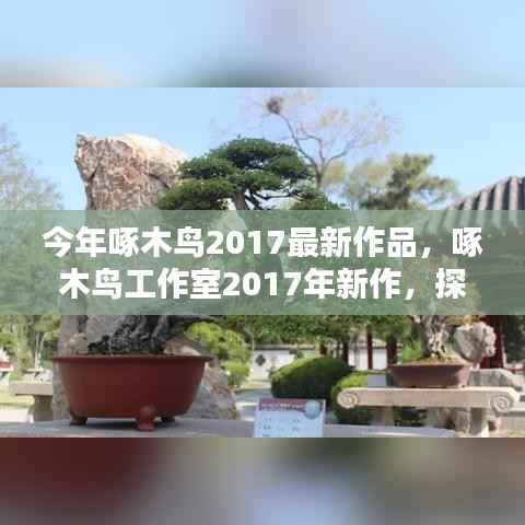 啄木鸟工作室2017新作,探索艺术无限可能