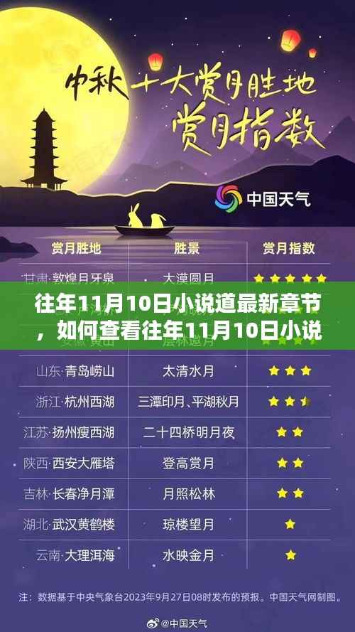 往年11月10日小说道最新章节查看指南及详细步骤