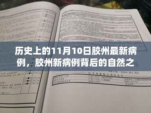 胶州新病例背后的自然之旅,探寻美景与内心平静之路