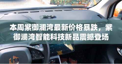 紫御澜湾最新价格暴跌,智能科技新品震撼登场,领略科技魅力与超前功能体验!
