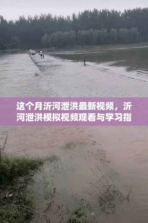 沂河泄洪模拟视频最新动态,观看指南与学习掌握最新动态