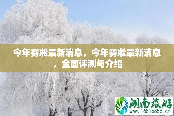 今年雾凇最新消息,全面评测与详细介绍