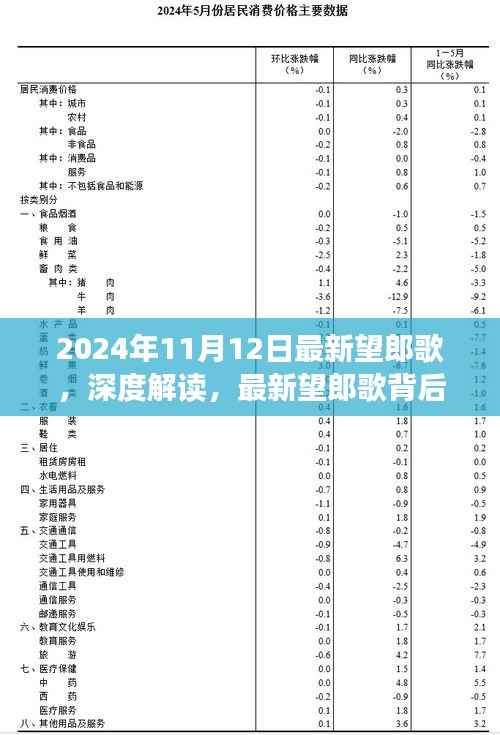 深度解读,最新望郎歌背后的文化意义与争议焦点(2024年11月12日最新)
