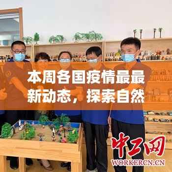 花开无言 第4页