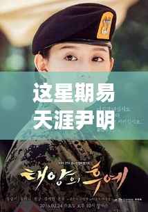 易天涯与尹明珠的星期乐事,新篇章与温馨日常