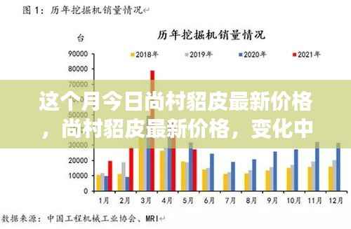 尚村貂皮最新价格动态,学习成长与自信成就感的源泉