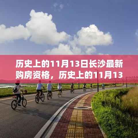 历史上的11月13日长沙购房资格深度解析与群体分析,特性、体验、对比全解读