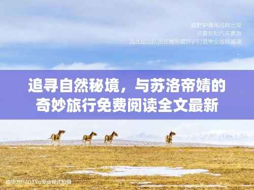追寻自然秘境,与苏洛帝婧的奇妙旅行免费阅读全文最新