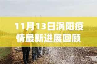 11月13日涡阳疫情最新进展回顾与影响，疫情最新动态及影响分析