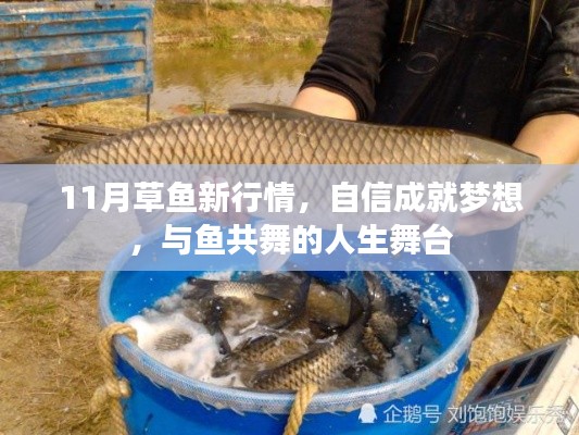 11月草鱼新行情,自信成就梦想,与鱼共舞的人生舞台