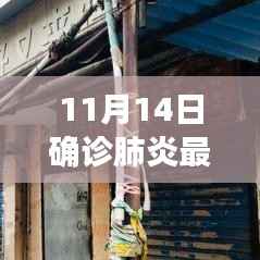 11月14日确诊肺炎最新统计与小巷特色小店的独特故事探索