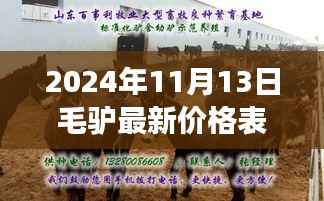 揭秘毛驴市场最新动态,2024年毛驴价格表及市场动态分析
