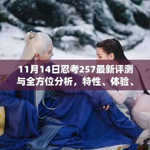 11月14日忍考257最新评测与全方位分析,特性、体验、对比及用户群体洞察