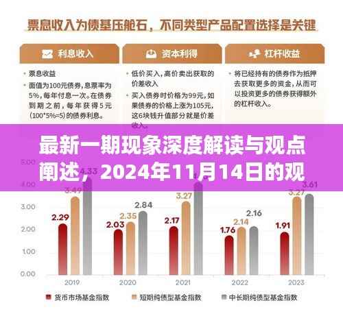 最新一期现象深度解读与观点阐述,2024年11月14日的观察与反思