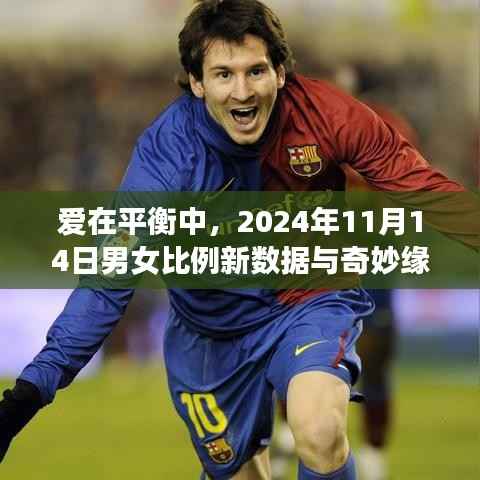 爱在平衡中,2024年11月14日男女比例新数据与奇妙缘分日