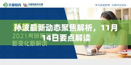 孙波最新动态聚焦解析,11月14日要点解读