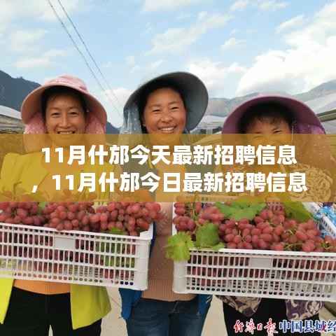 11月什邡最新招聘信息汇总,就业市场观察与个人立场探讨