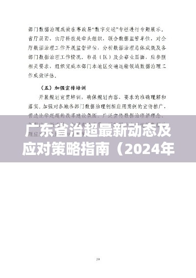 广东省治超最新动态及应对策略指南(2024年11月版)