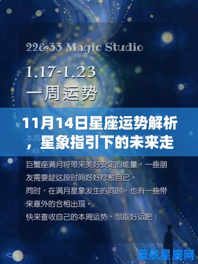 11月14日星座运势解析,星象指引下的未来走向